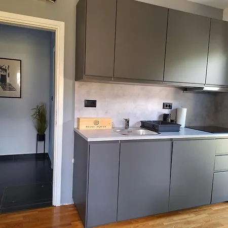 Vidak Appartement *