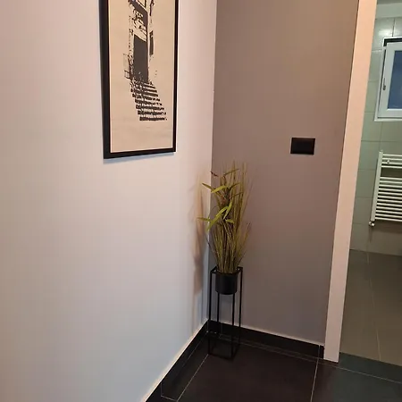 Appartement Vidak